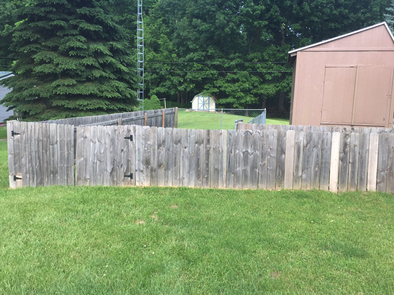 wood fence before tree frog softwash fence cleaning job