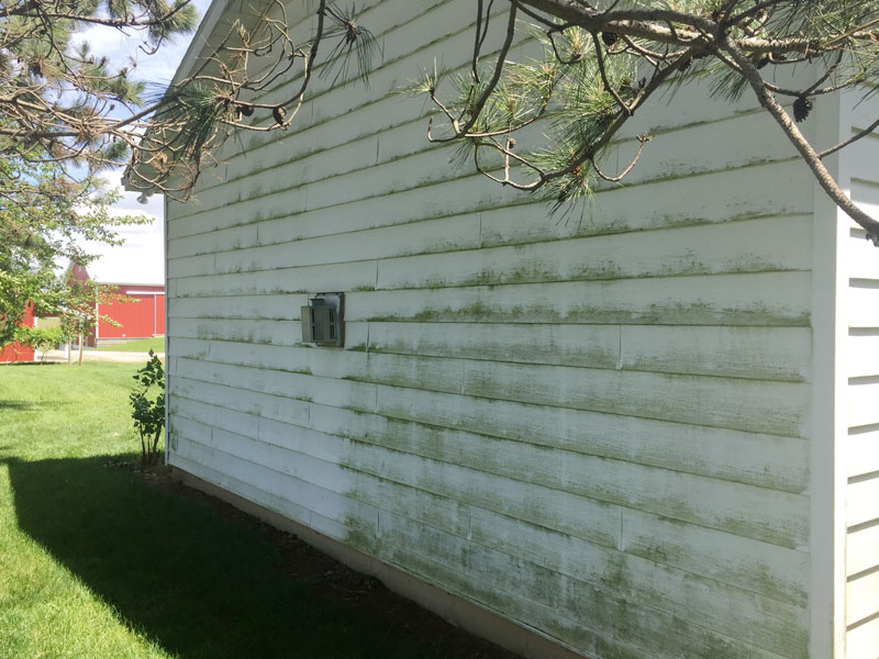 tree frog softwash exterior house washing job before in northeast indiana