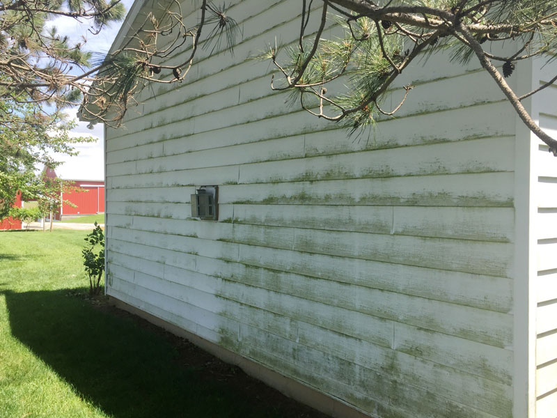 tree frog softwash exterior house washing job before in northeast indiana