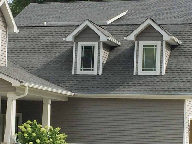 tree frog softwash roof cleaning job using soft wash method to remove black streaks from roof in indiana