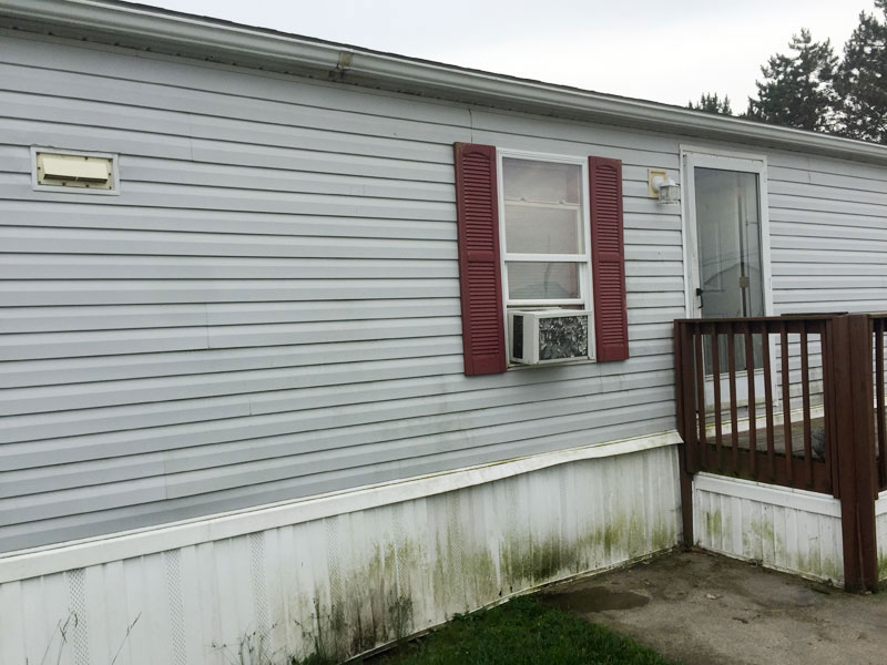 dirty vinyl siding covered in algae needs cleaning