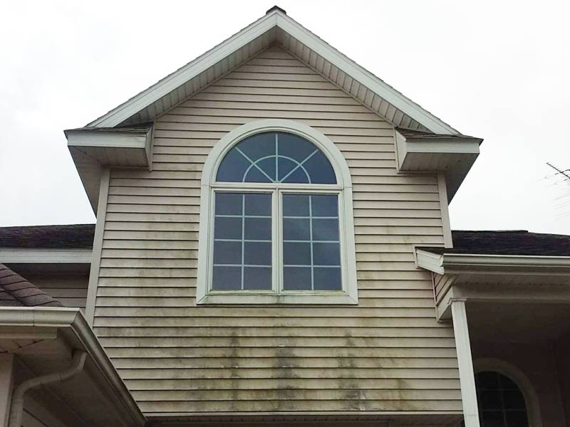 dirty vinyl siding before softwashing cleaning instead of pressure washing